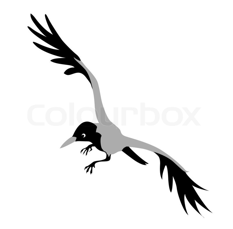 800x786 Crow Drawing On White Background Stock Photo Colourbox