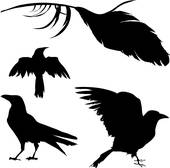 170x168 Crows Clip Art