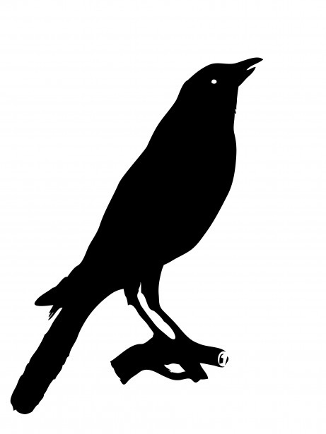 461x615 Crow Clip Art Bird Crow