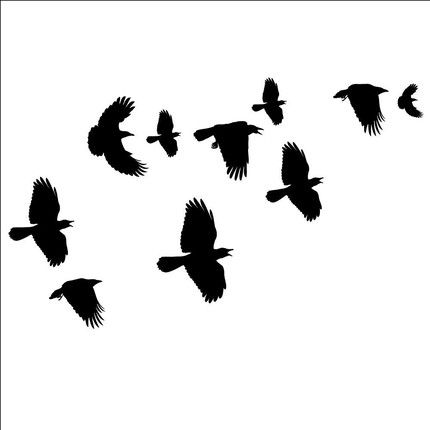 430x430 Crow Clip Art 3