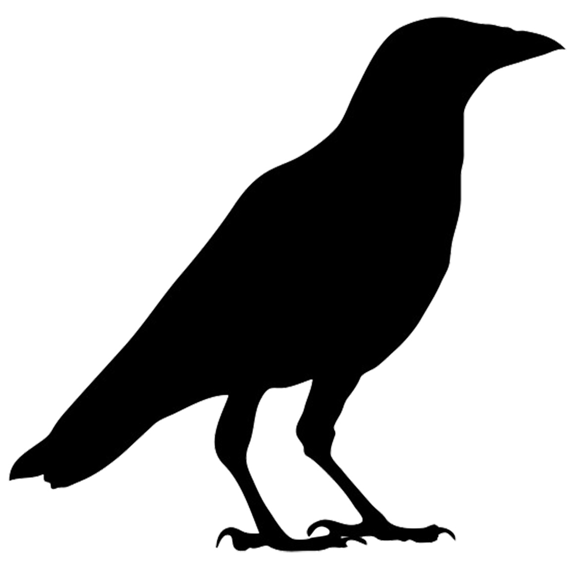 1169x1185 Crow Clipart Clipartfox