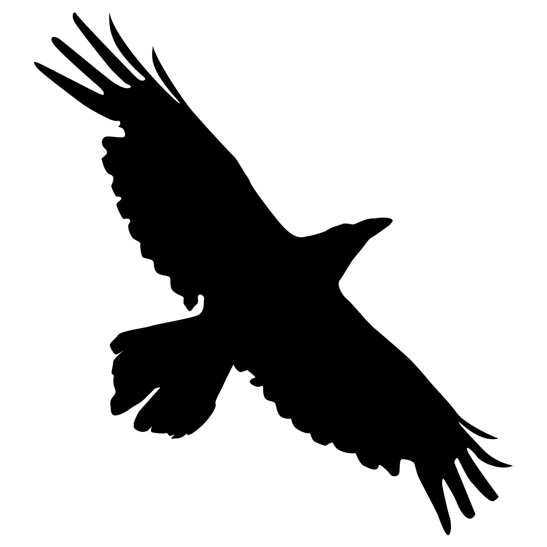 1920x1920 Flying Crow Free Stock Photo