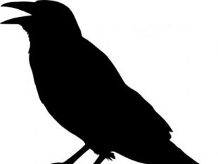 310x233 Scarecrow And Crow Clip Art Free Vectors Ui Download