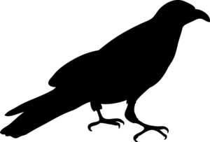 300x203 Crow Clip Art