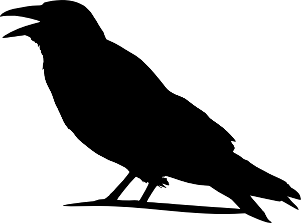 600x445 Best Crow Clipart