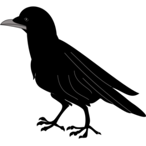 299x299 Black Bird Silhouette Clip Art Free Vector Image
