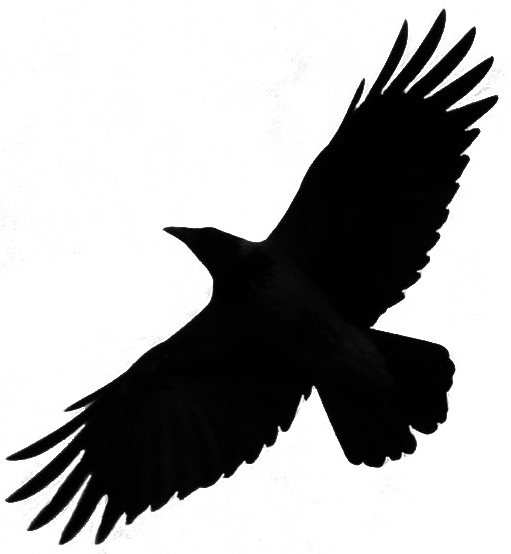 511x554 Crow Raven Bird Silhouette Fly Png By Redrisingwolf