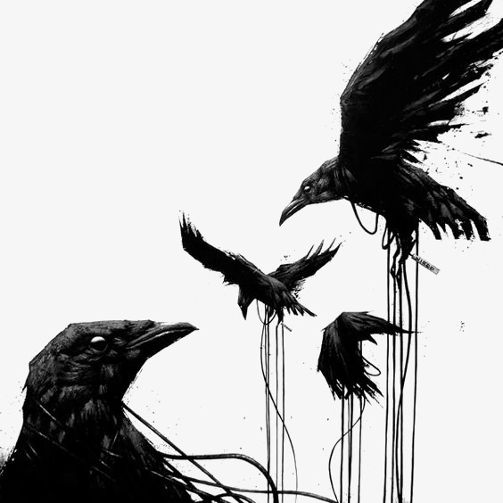 564x564 Crow, Creative Crows, Ink Crow, Birds Png Image For Free Download