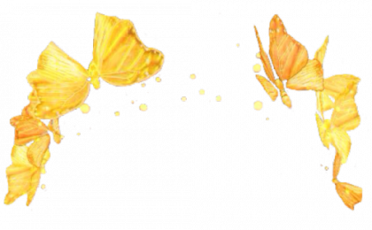 420x260 Computer Mouse Png Transparent Image Png Mart