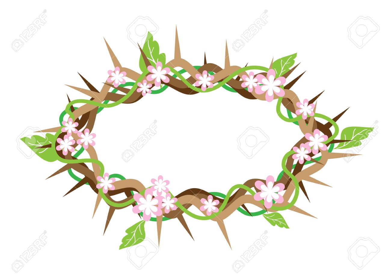 1300x910 An Illustration Of Crown Of Thorns With Fresh Green Leaves