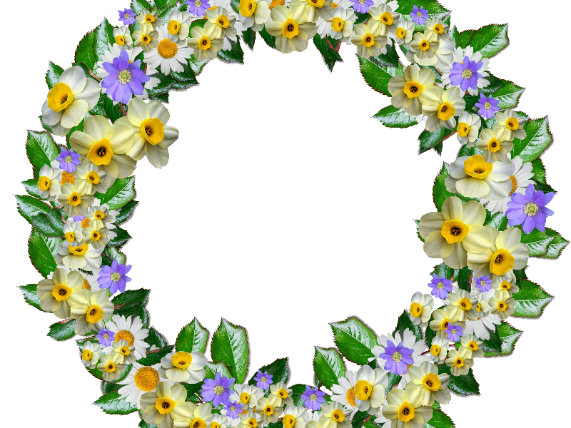 800x600 Real Flower Crown Clipart Png Free (Nature Grass And Foliage