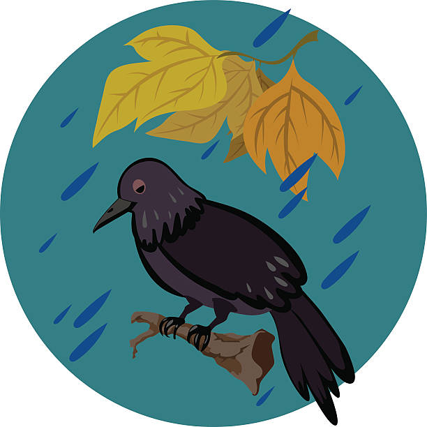 612x612 Crow Clipart Sad
