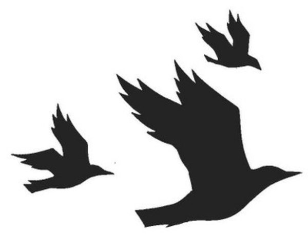 600x461 Three Flying Crows Cropped Free Images