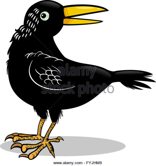 510x540 Cartoon Crow Stock Photos Amp Cartoon Crow Stock Images