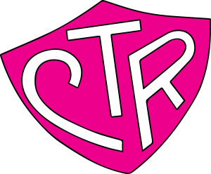 300x248 Shield Clipart Pink