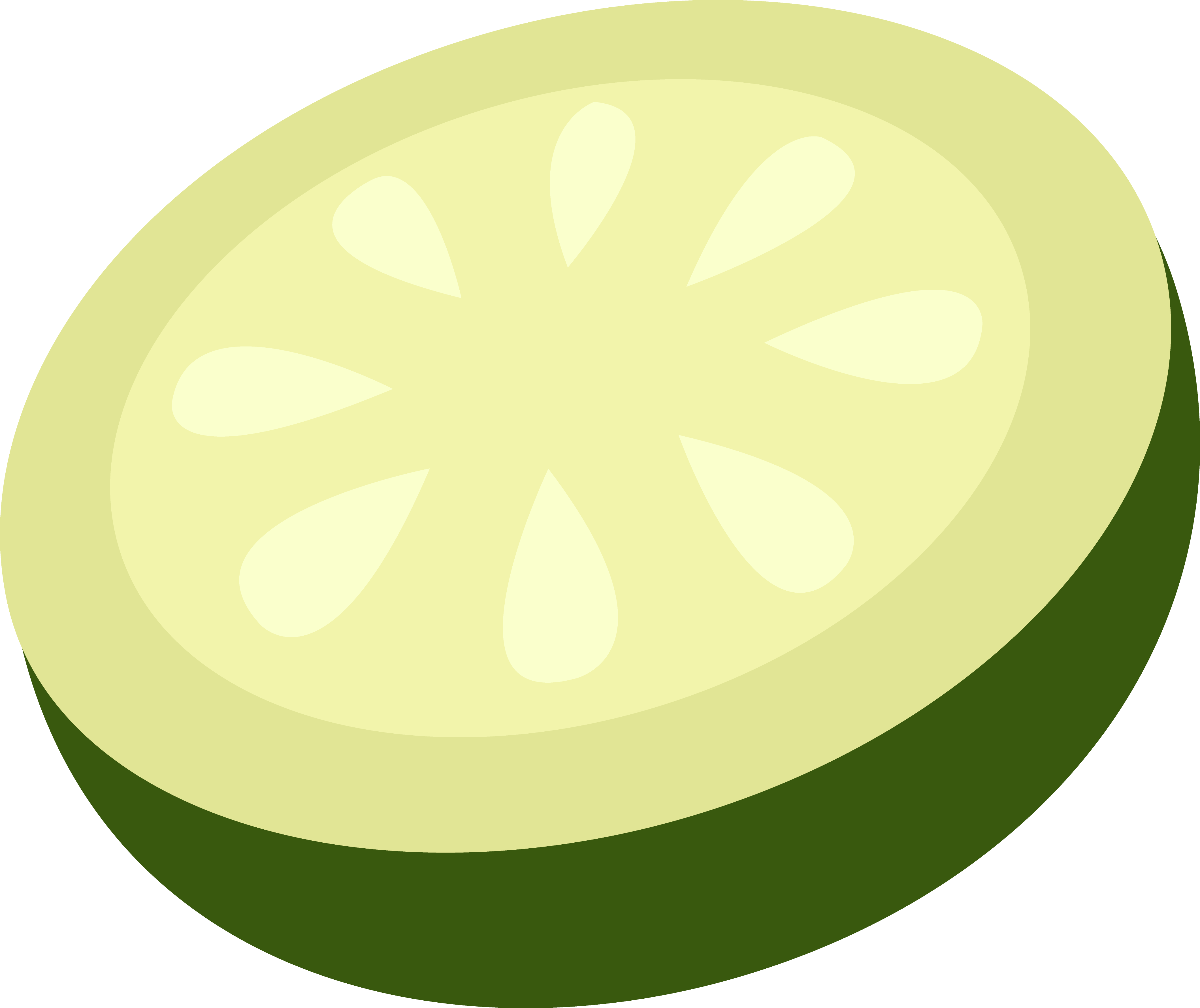 4237x3560 Cucumber Slice Vector Art
