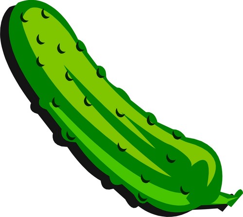 500x447 Cucumber Clip Art