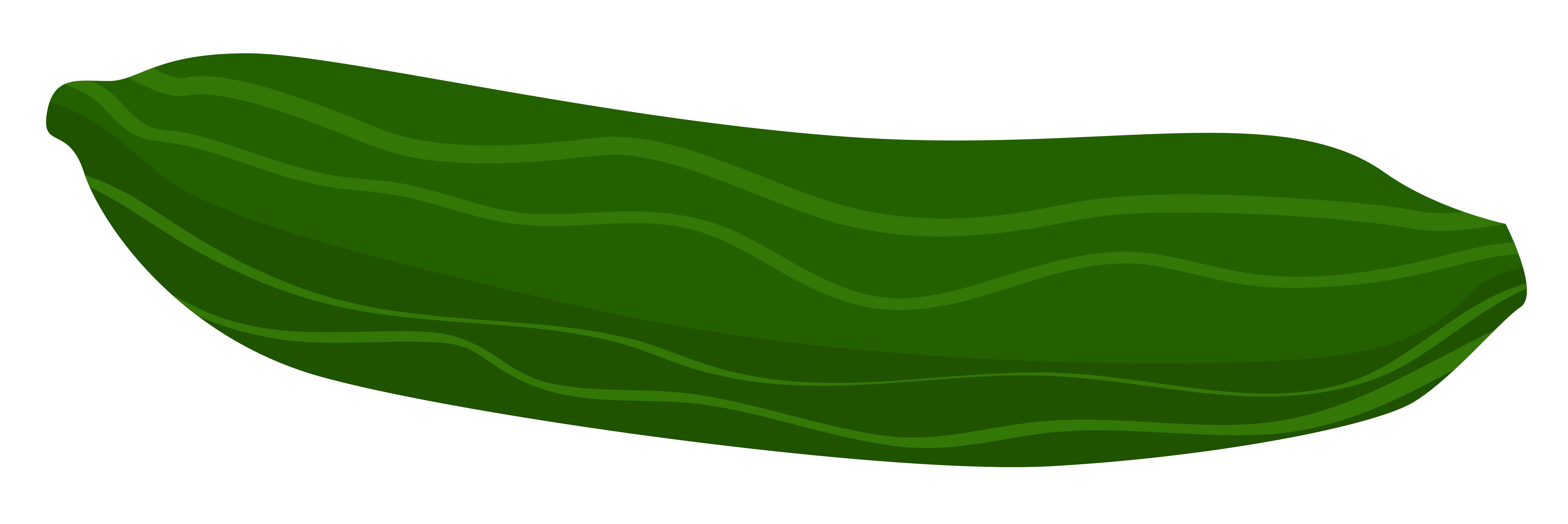 5984x2000 Cucumber Clipart 2 Image