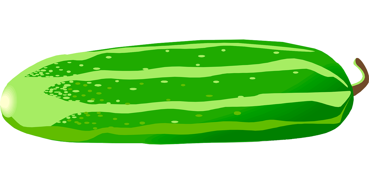 1280x640 Cucumber Clipart Kiaavto Image