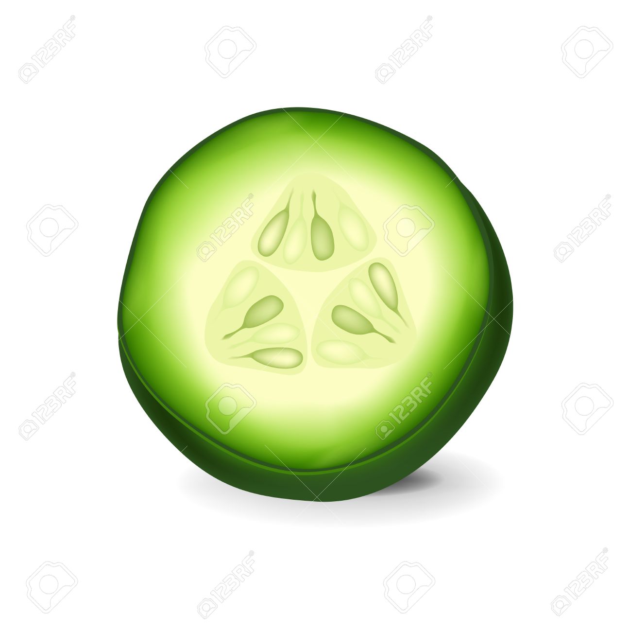 1295x1300 Cucumber Clipart Sliced