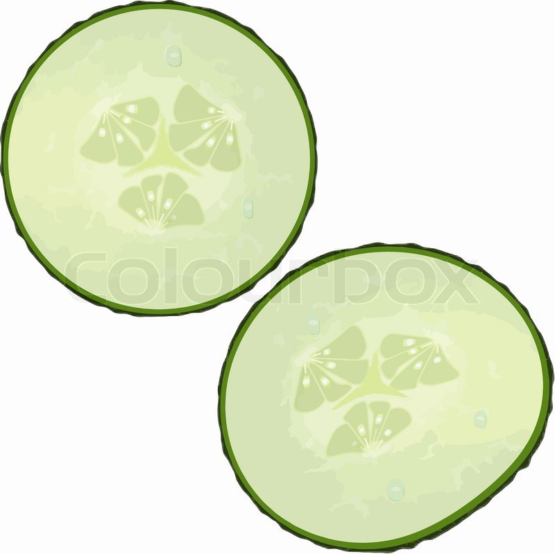 800x799 Cucumber Slices Clipart