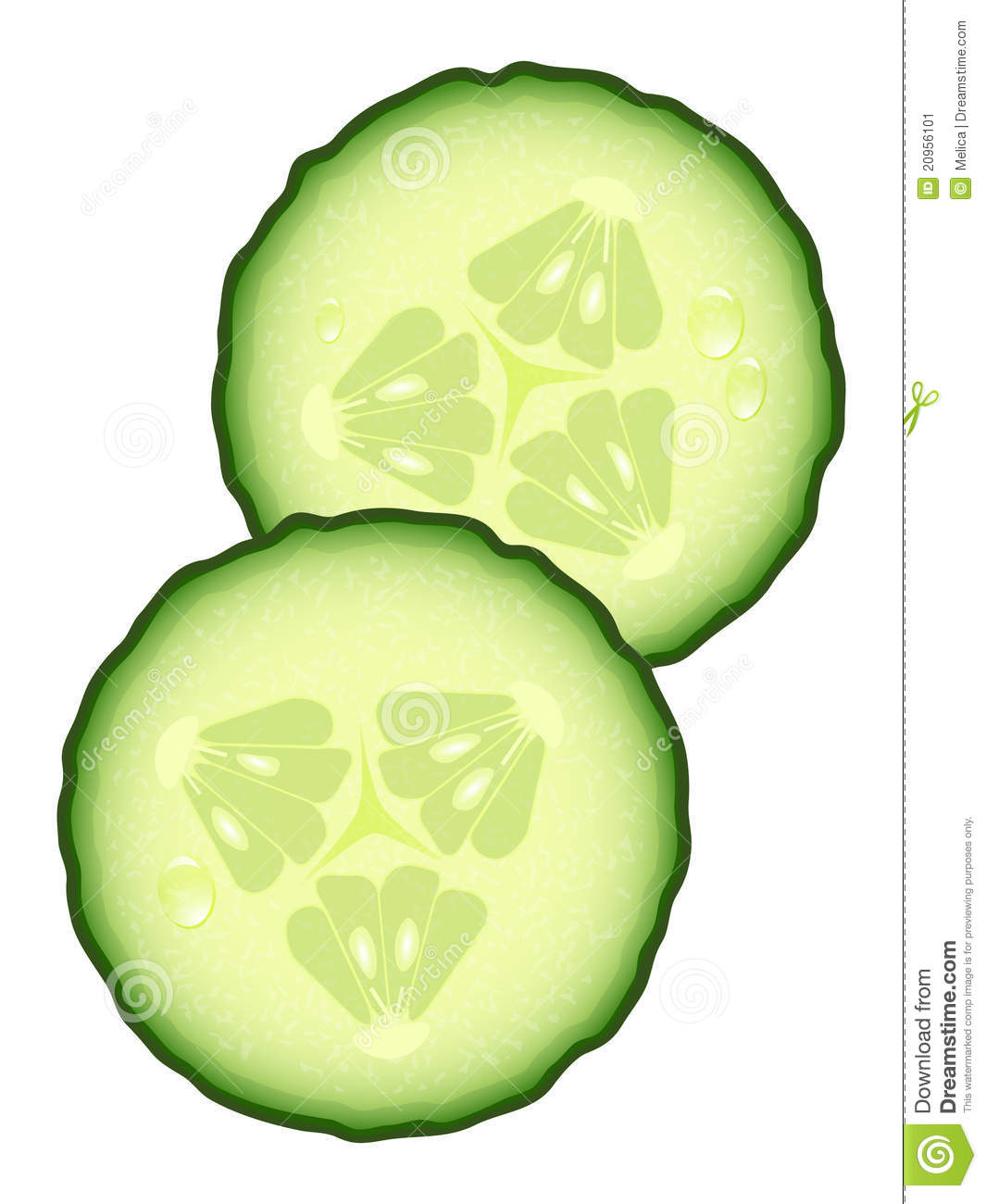 1065x1300 Lime Clipart Cucumber Slice
