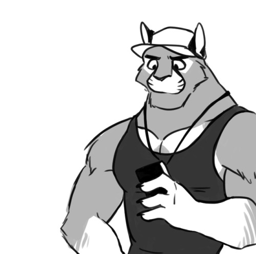 500x497 Cat Amp Cucumber Tumblr