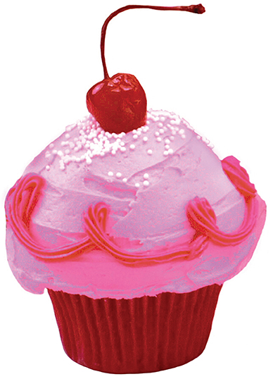 388x538 Recipes From The Pinkalicious Cupcake Cookbook