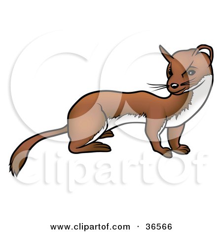 450x470 Marten Clipart Curiosity