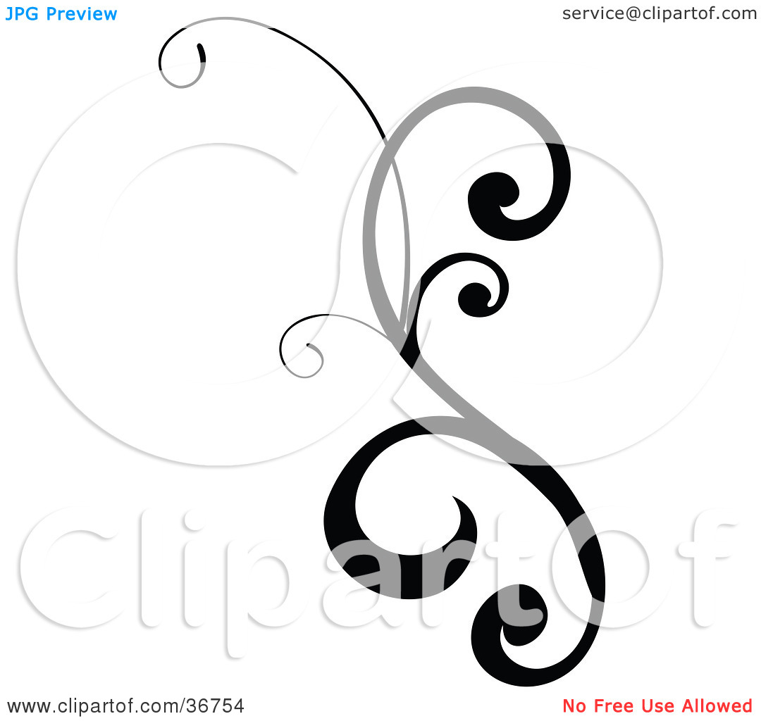 1080x1024 Curly Design Clipart