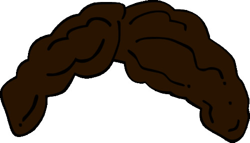 500x287 Brown Hair Clipart Curly Hair