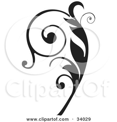 450x470 Clipart Illustration Of An Elegant Black Curly Vine Scroll By