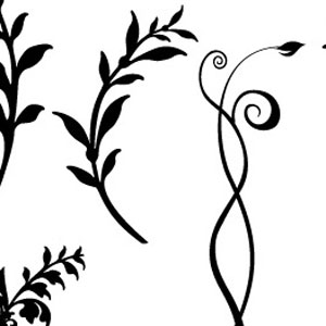 300x300 Ornate, Floral, Swirly And Curly Vector Roundup