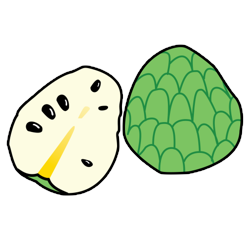 250x250 Open Symbols