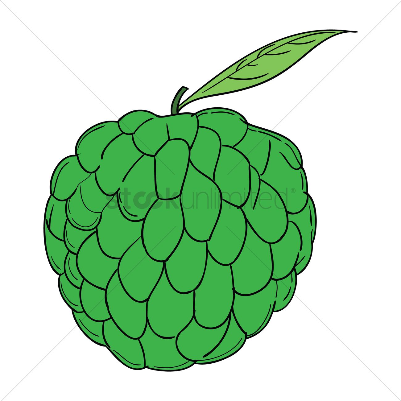 1300x1300 Sugar Apple Clipart