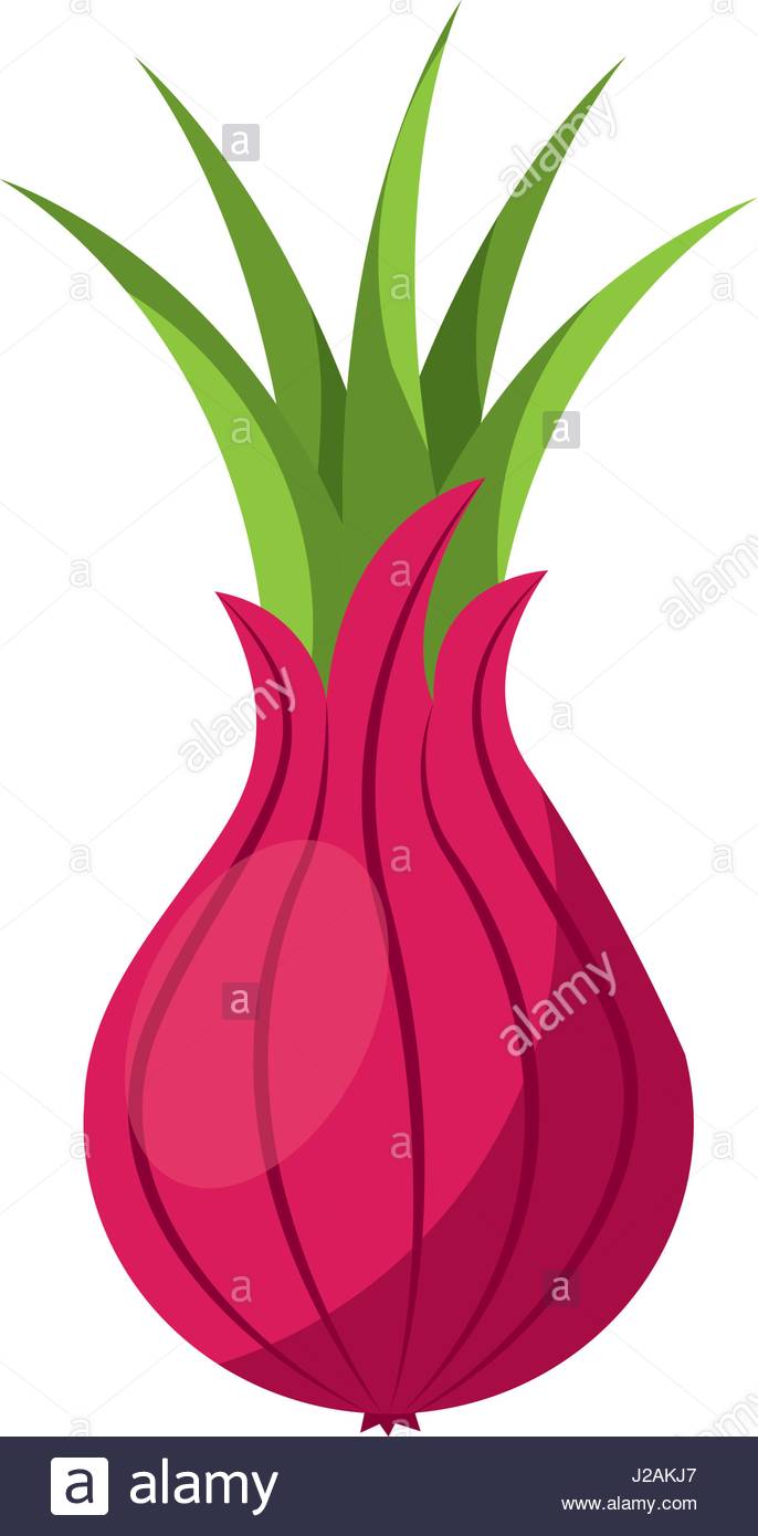 686x1390 Custard Apple Fresh Vegetable Icon Stock Vector Art Amp Illustration