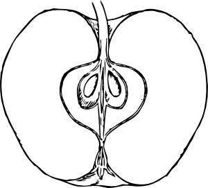 300x271 Piece Of Apple Clip Art