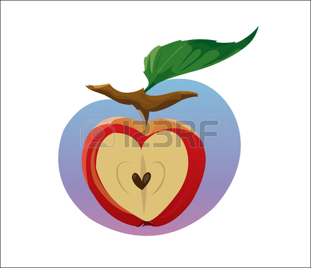 450x387 7,186 Apple Heart Stock Illustrations, Cliparts And Royalty Free