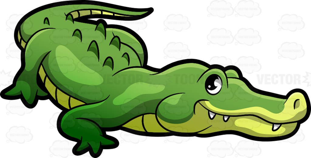 1024x519 Graphics For Baby Alligator Graphics
