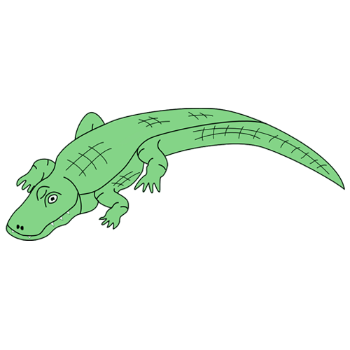500x500 Crocodile Clip Art Drawing Free Clipart Images Image