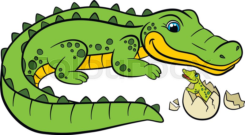 800x442 Cartoon Animals For Kids. Mother Alligator Looks