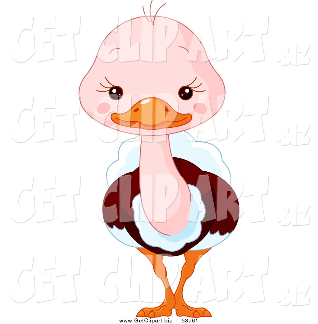 1024x1044 Clip Art Of A Cute Baby Ostrich By Pushkin