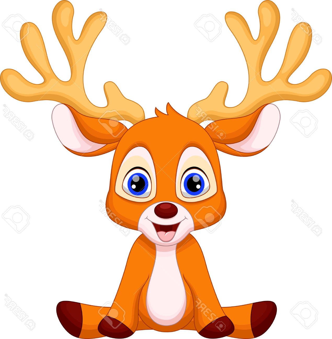 1270x1300 Unique Cute Baby Buck Photos