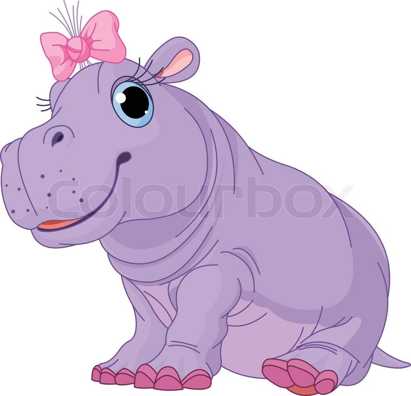 800x770 Illustration Of Cute Baby Girl Hippo Stock Vector Colourbox