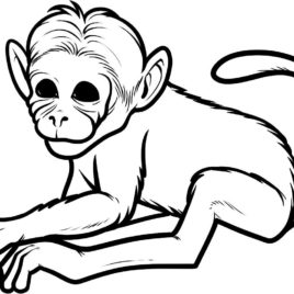 268x268 Baby Monkey Coloring Page Kids Drawing And Coloring Pages
