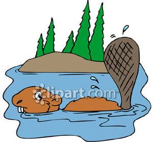 300x279 Die Besten Beaver Clipart Ideen Auf Waldtiere