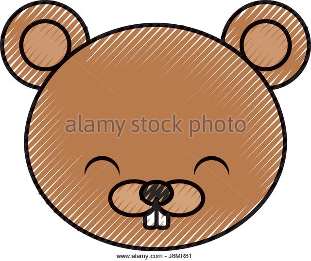 640x538 Beaver Illustration Graphic Stock Photos Amp Beaver Illustration