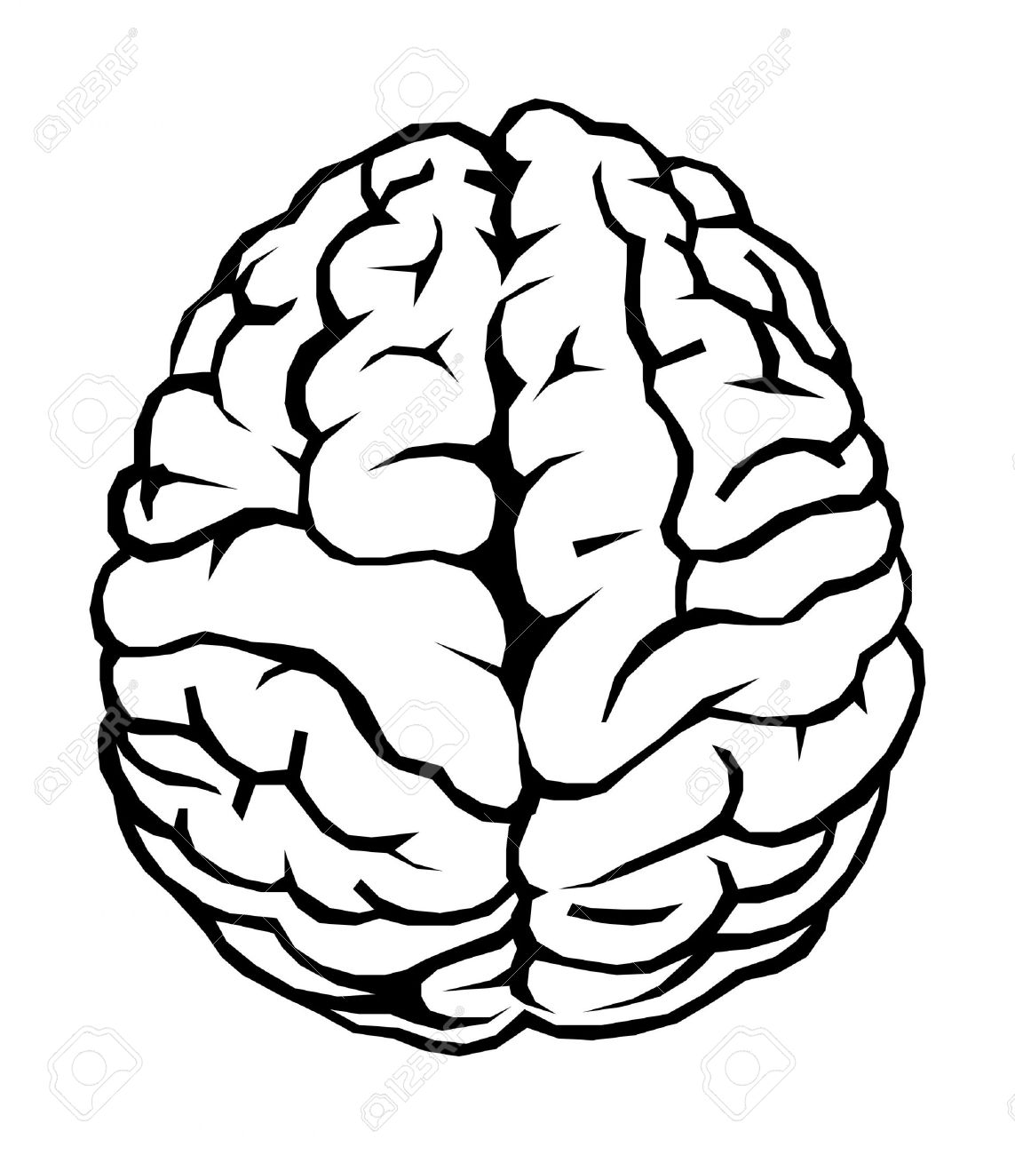 1143x1300 Brain Clipart Simple