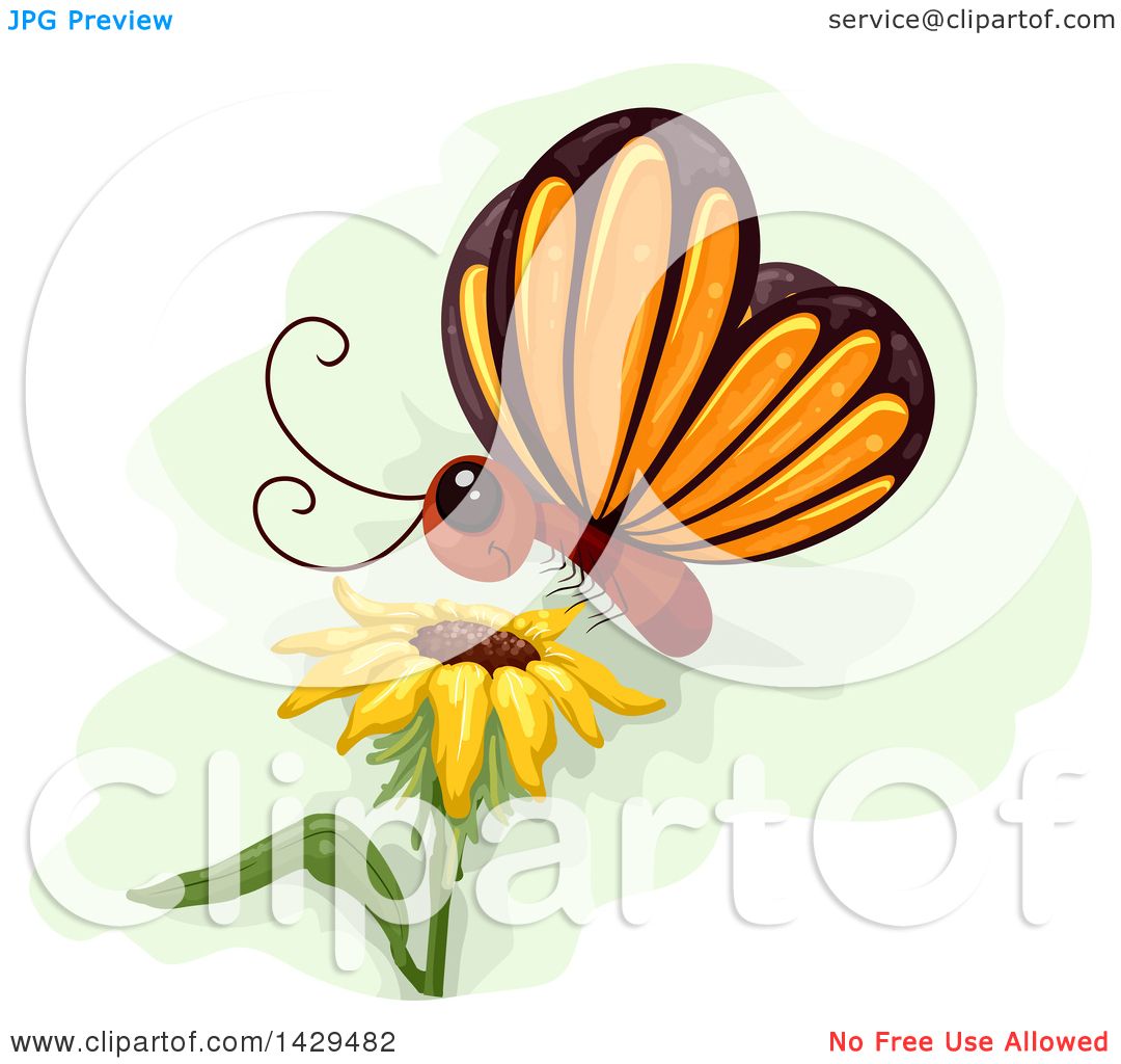 1080x1024 Clipart Of A Cute Butterfly Landing On A Sunflower
