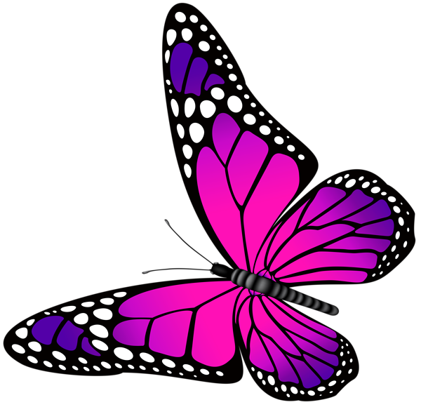 600x580 Pink Butterfly Cliparts